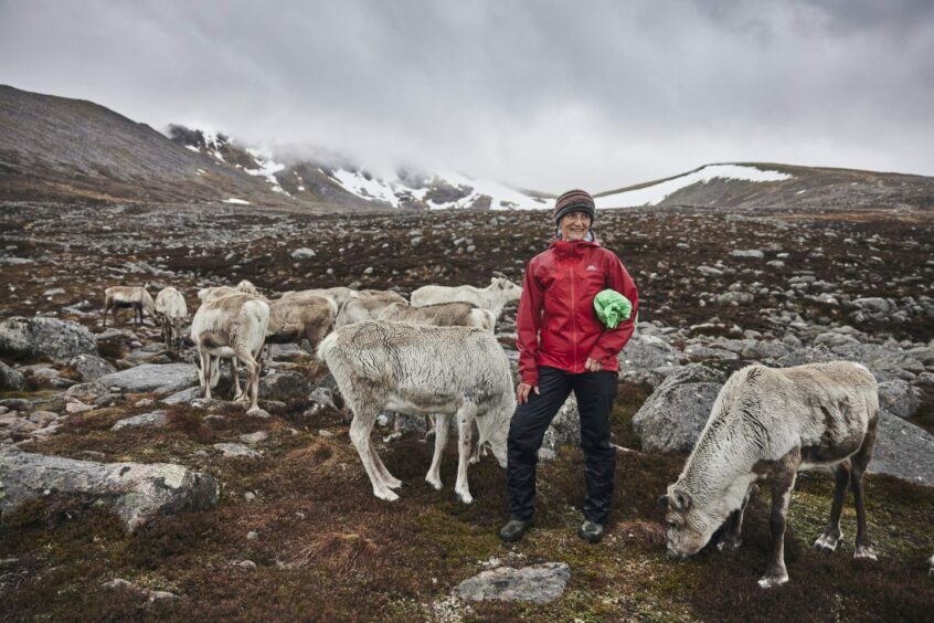Tilly Smith with the Cairngorms reindeer herd.