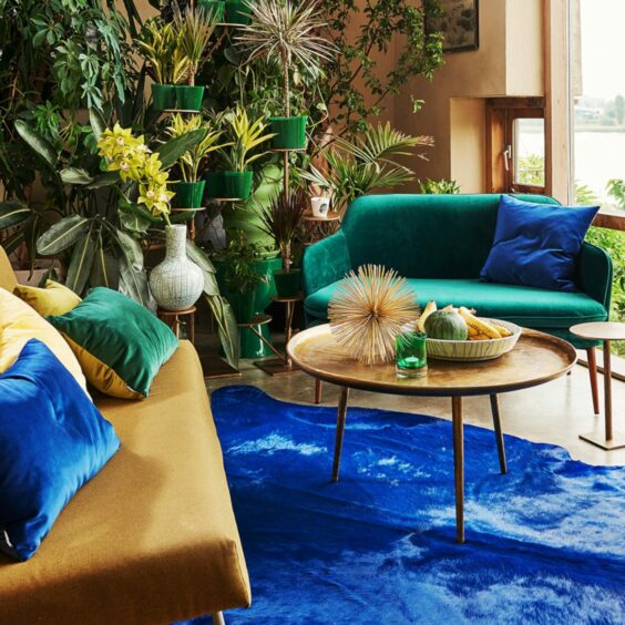 A plant-filled living room with colourful green and yellow sofas with a blue rug and matching cushions