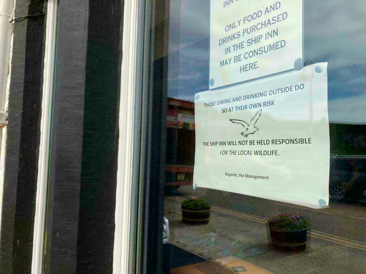 Signs warning customers about seagulls on the windows of The Ship Inn in Stonehaven