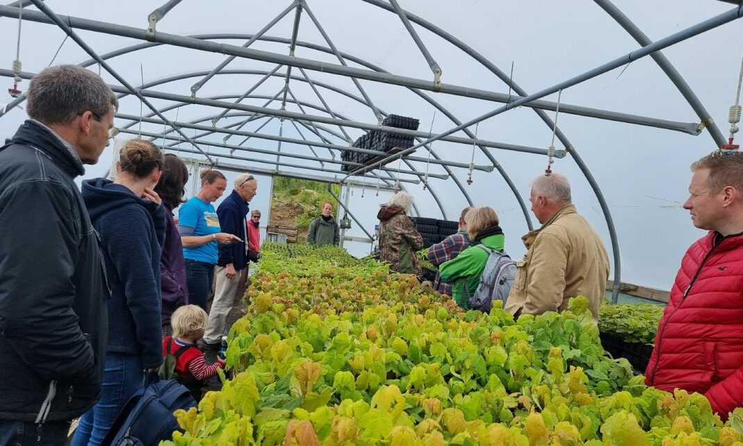 Visitors at Eigg's tree nursery during the 25th anniversary celebrations.