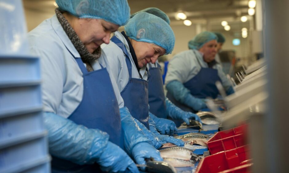 Workers on the lines at family-owned Thistle Seafoods