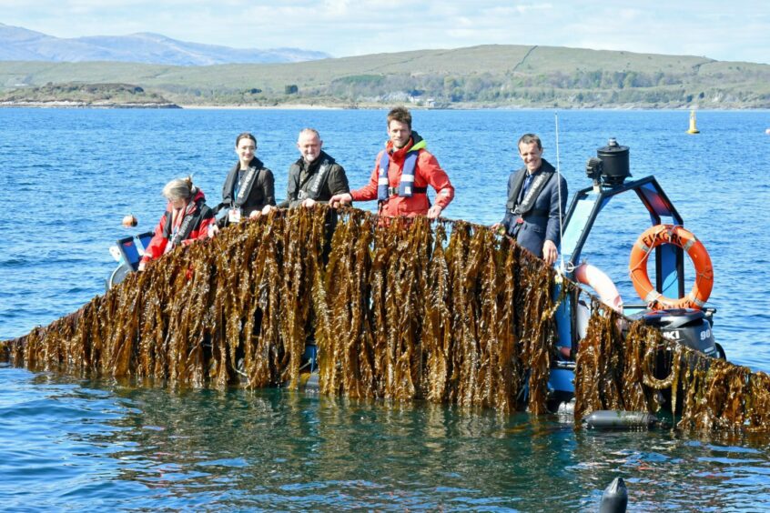 Students at the Seaweed Academy at the Scottish Association for Marine Science in Dunstaffnage, near Oban.