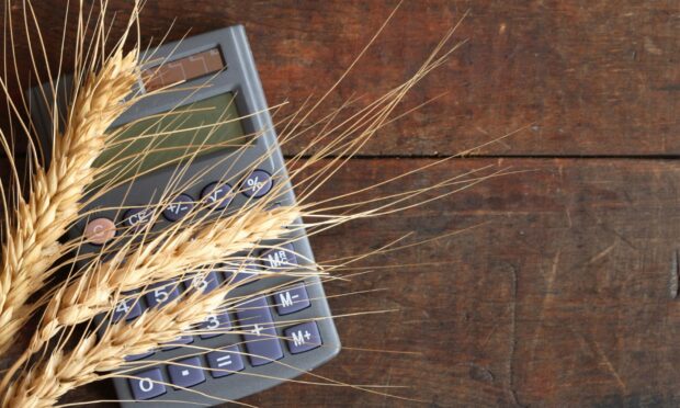 Ears of wheat and calculator lying on wooden surface with copy space