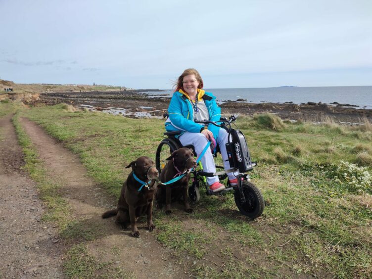 A woman on the machair with a wheelchair and two chocolate labradors.