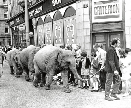 1970 - Four elephants from Sir Robert Fosset’s Circus parade along Guild Street, Aberdeen, to the Queen’s Links