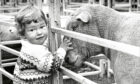 A young girl with a sheep at the Banchory Show