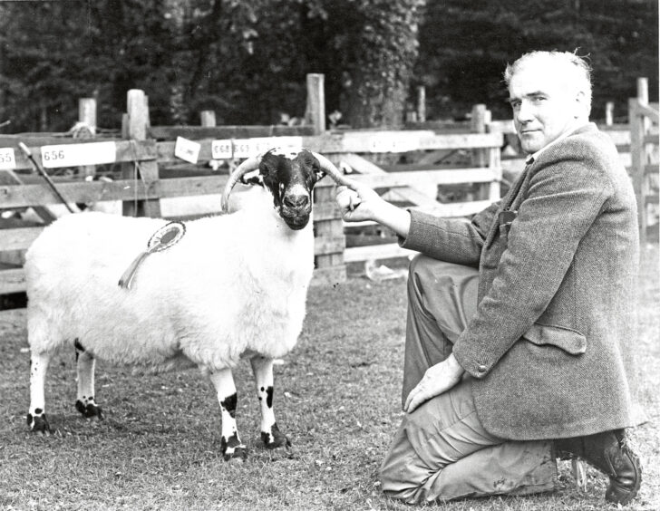 A man kneeling next to his ewe at the Banchory Show