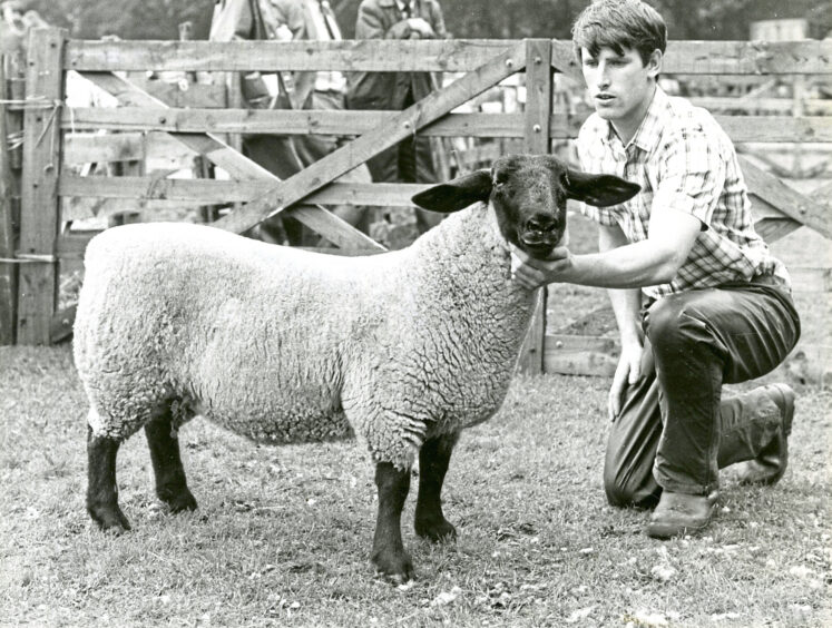 A man kneeling next to his winning sheep at the Banchory Show