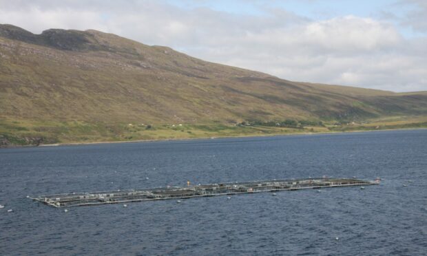 Little Loch Broom will be home to a new brood stock facility following the granting of planning permission by Highland Council.