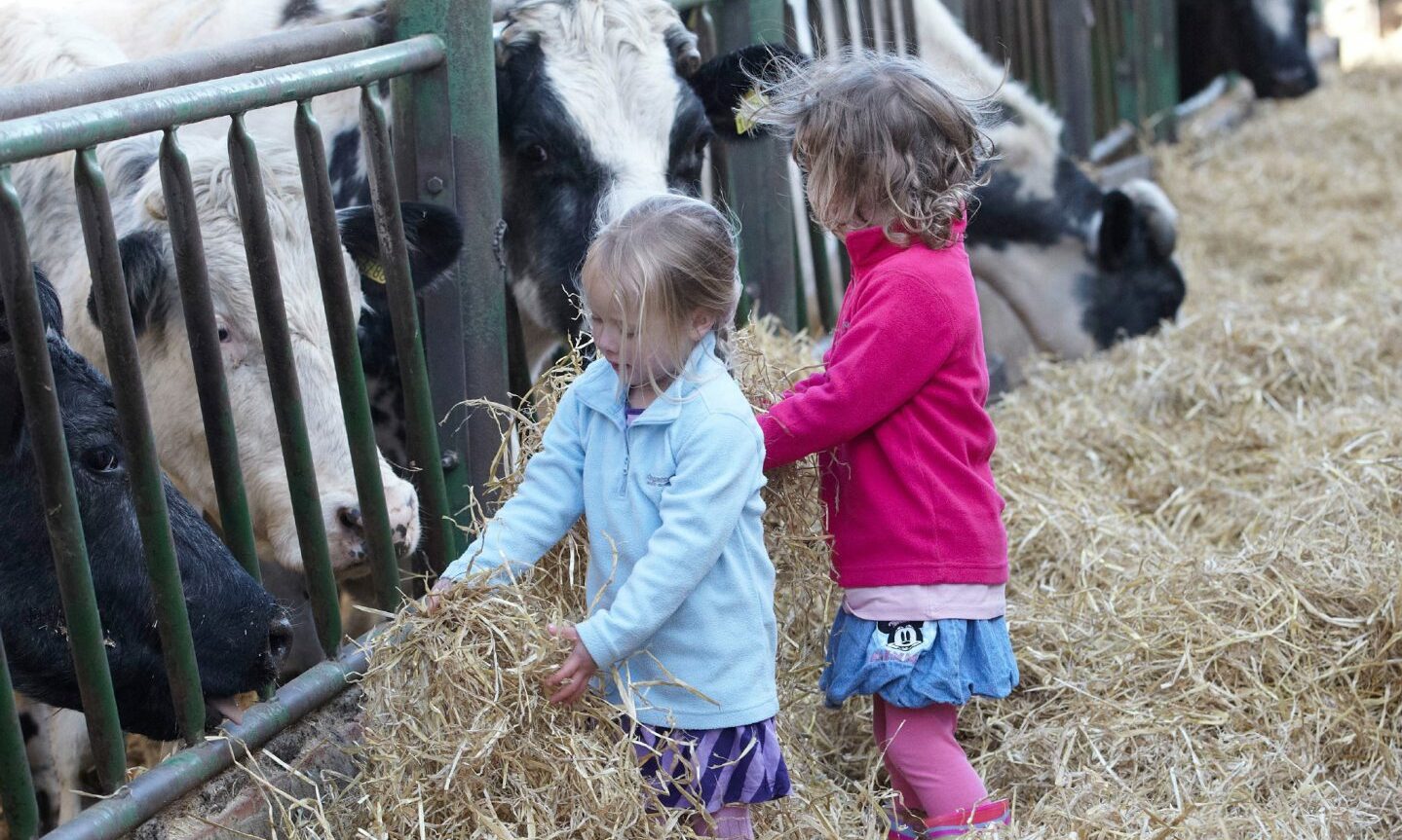 Open Farm Sunday increases consumer trust in British farming - Vimarsana News