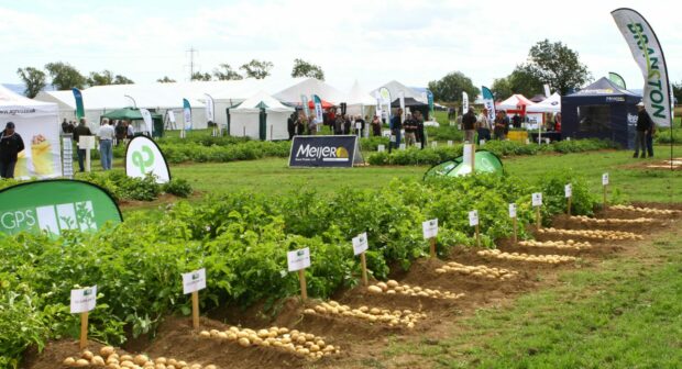 SOWING SEEDS: Two separate growers’ groups will be at the Potatoes in Practice event near Dundee.