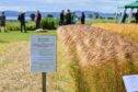 Arable Scotland took place at Balruddery Farm on the outskirts of Dundee.