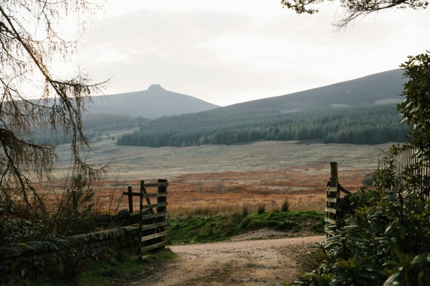 Clachnaben (Glen Dye’s iconic granite tor). Photo by Richard Gaston @richardgaston