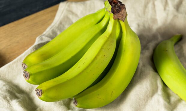 Green bananas contain more resistant starch than yellow ones.