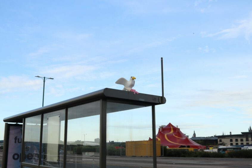 3d printed seagull on a bus stop