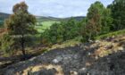 Land near Ballindalloch was left in a state of ruin by a wildfire last week. Picture by Jason Hedges/DC Thomson.