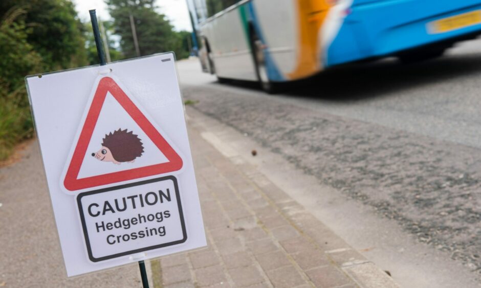 Hedgehog sign at side of road as bus passes. 