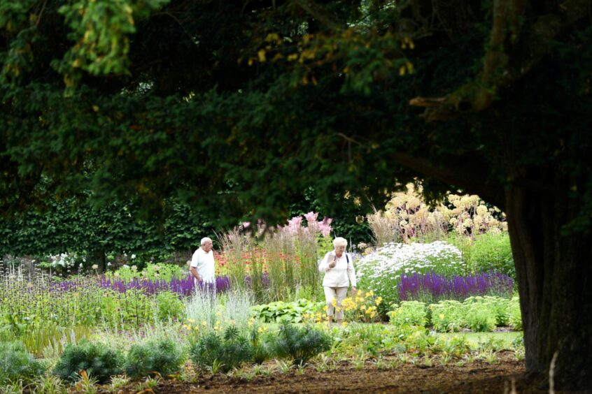 Greenery at Pitmedden Garden.