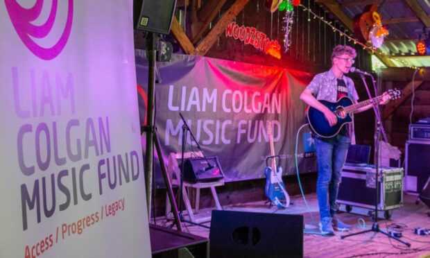 Singer David Bromham on the Liam Colgan Music Fund stage at Woodzstock. Picture Al Donnelly