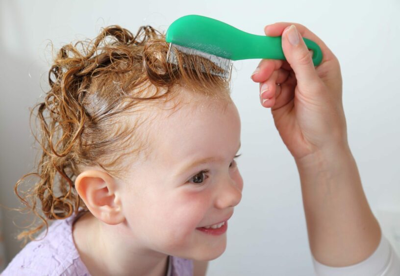 A small child smiling as their hair is brushed through with a lice-comb and treatment.