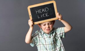 Head lice have been a problem for many north-east families this year.