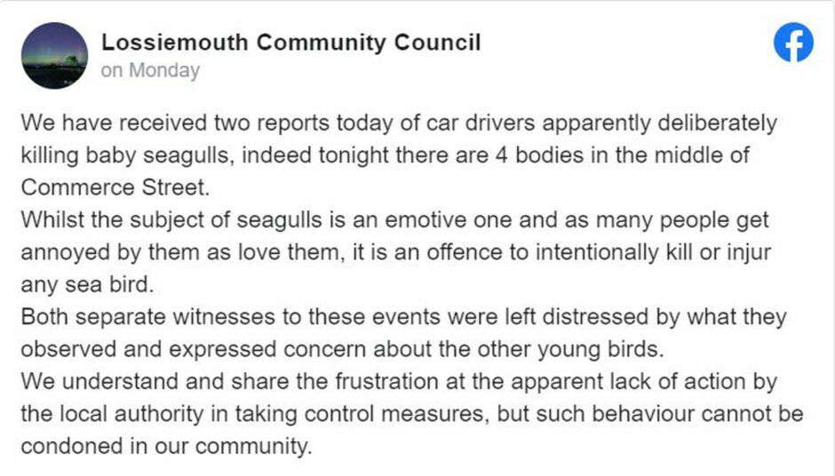 A message from Lossiemouth Community Council saying it is an offence to injure seagulls
