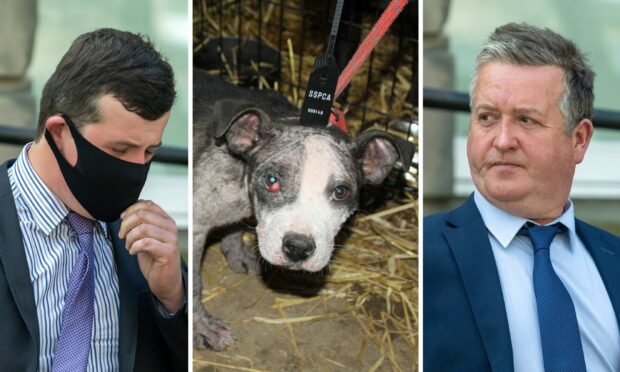 Arthur Hessin, 22, left, and Samuel Ronald Hessin, 49, right, and a poorly puppy on Balnamoon farm, near Keith