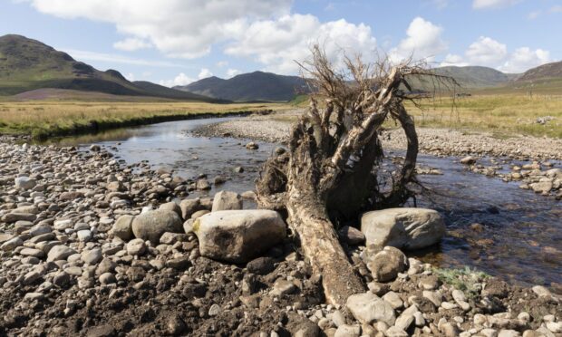 A large structure installation by Spey Catchment Initiative. Photo: Scotland Big Picture.