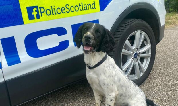PD Kilo is already working with the North East Police Division.