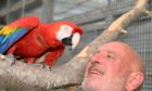 John Cassidy with a scarlet macaw. Picture by Paul Glendell