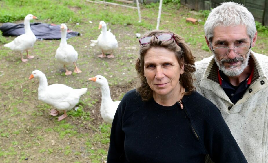 Pauline and Keith Marley looking after geese at New Arc animal sanctuary