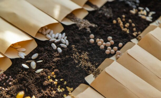 Planting seeds can be a richly rewarding experience.