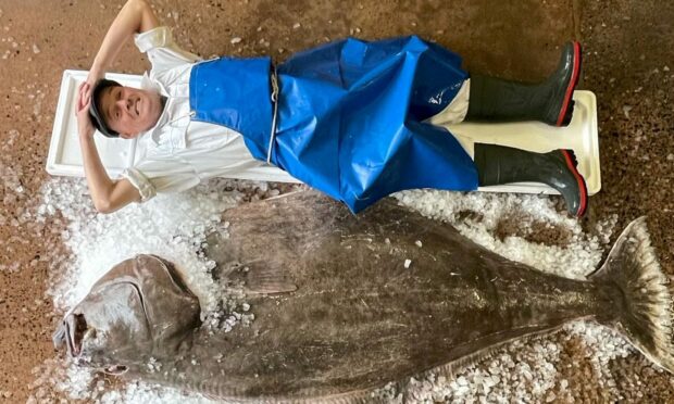 Fishmonger Jimmy Mac, who is about 5ft 10in, pictured alongside the 6ft halibut. Pic: SWNS