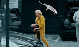 A seagull swooping down near a woman in Sainsburys car park in Aberdeen