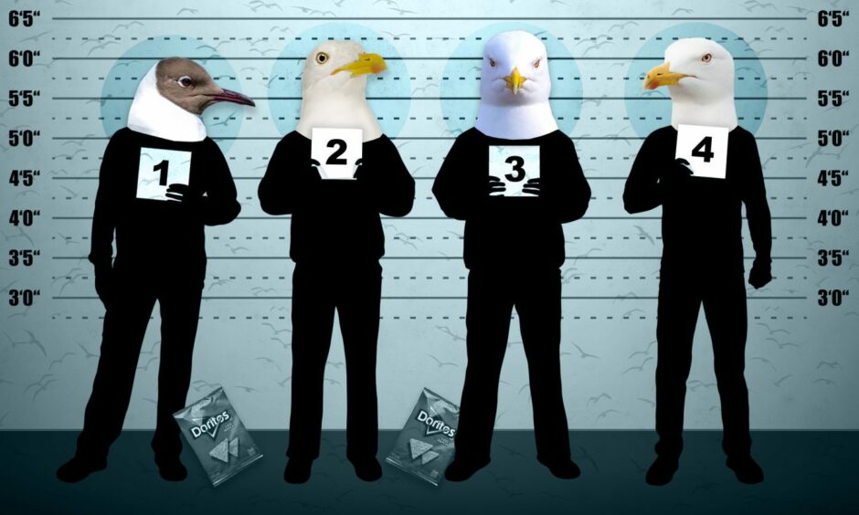 a graphic of seagull heads on human bodies in a police line up