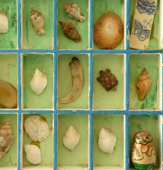 A collection of treasures kept by Cynthia, including Priscilla's tooth.