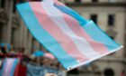 The transgender flag