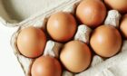 Egg industry leaders want farmers to get a higher share of the recent retail price rises for eggs.