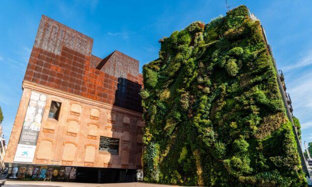 What happened to plans for Aberdeen’s living wall?