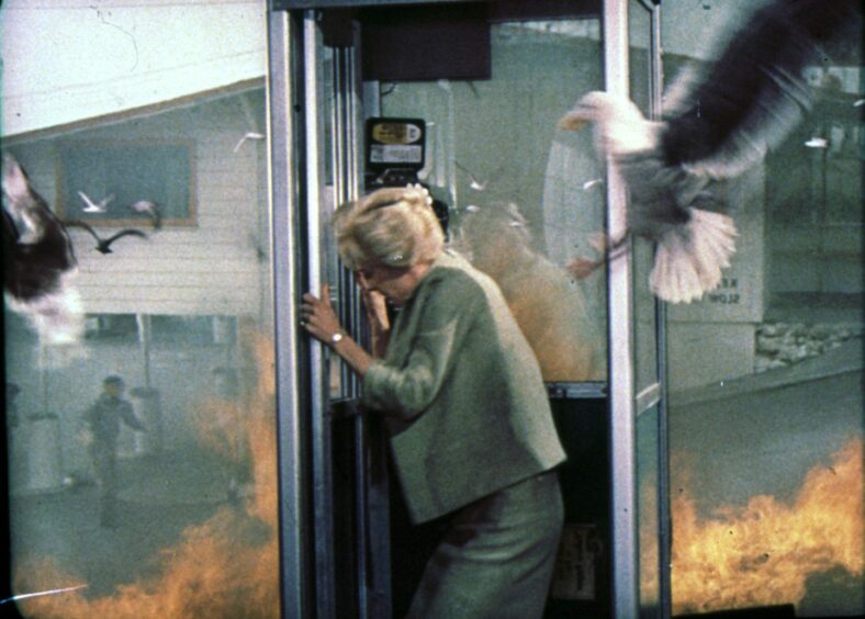 A scene from the Hitchcock film The Birds