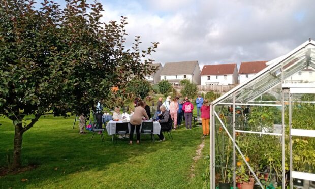 Garthdee Garden Allotments took part in the festival last year. Picture from Cfine.