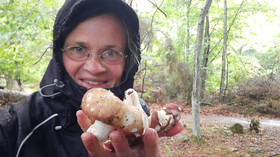 Charcoal burners foraged mushrooms