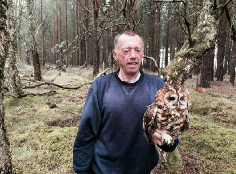 Bob Swann holding an owl in the woods.