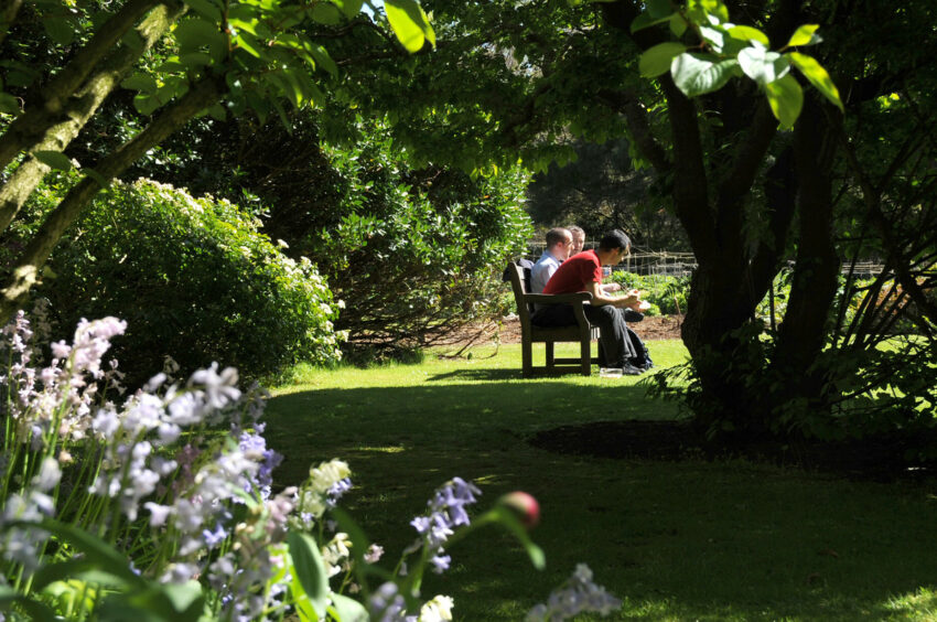 A lovely photo of Cruickshank Botanic Gardens in Aberdeen