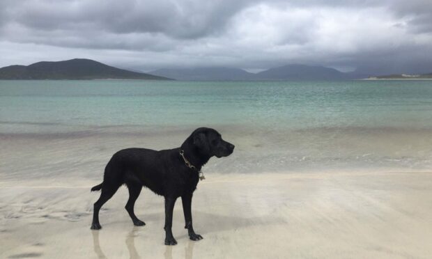Horgabost beach on South Harris. Picture by Stuart Findlay.