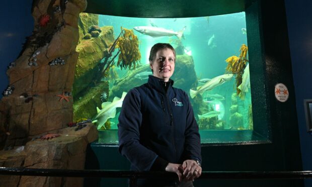 Macduff Marine Aquarium manager Claire Matthews. Picture by Jason Hedges