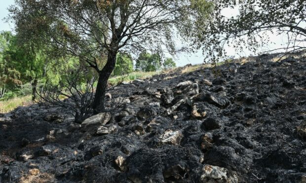 Damage caused by a wildfire in Ballindalloch in July this year. Photo: Jason Hedges/DC Thomson