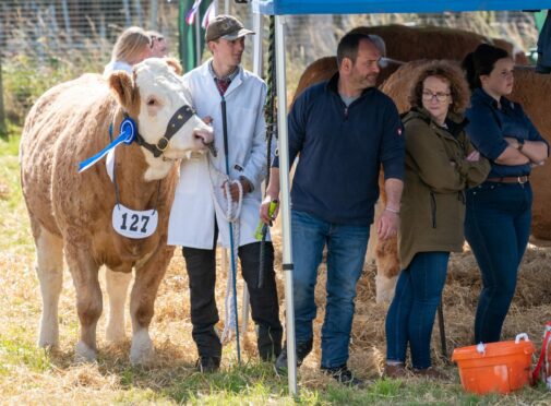 Hundreds of people turned out for the final day of the Keith Show, which is the main day for agricultural competitions and shows. Pic: Jasperimage