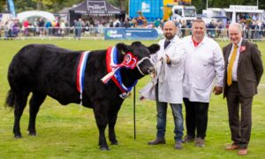 FAULTLESS:  Black Magic with her owner, Blair Duffton (centre), handler  Steve Smith and beef interbreed judge, Archie MacGregor. Pictures:  Kenny Smith