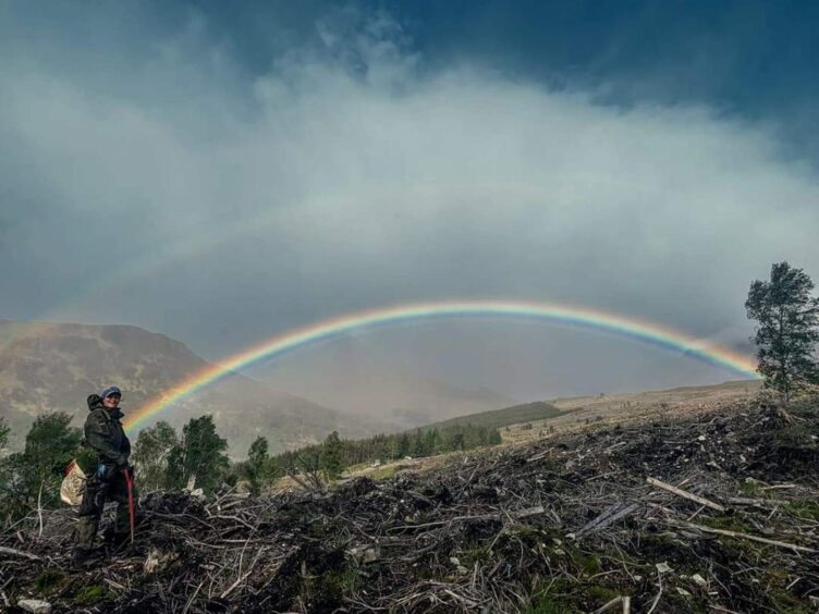 Lynn planting trees beneath a double rainbow